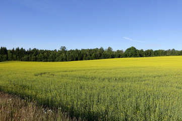 Farmland