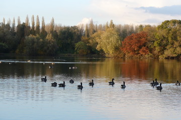 bord de l'Orge, Essonne