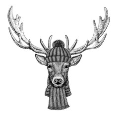 Deer wearing knitted hat and scarf