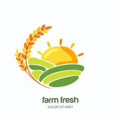Farm vector logo, label, emblem design. Isolated illustration of wheat fields, farm landscape and sun. Concept for agriculture, organic cereal products, harvesting grain and farming.