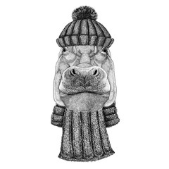 Hippo, Hippopotamus, behemoth, river-horse wearing knitted hat and scarf