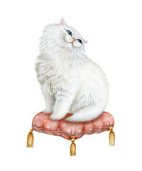 Cute White Cat on Pink Cushion. Watercolor