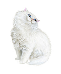 Cute White Cat. Watercolor