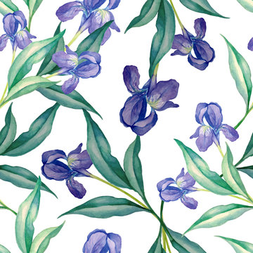 Iris seamless pattern in watercolor style