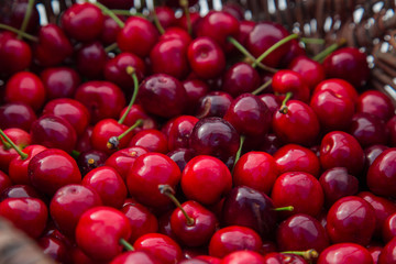 Cerises