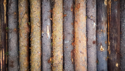 Wood log background textured pattern plank wall with vignette frame