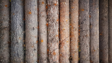 Wood log background textured pattern plank wall
