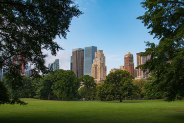 New York skyline with Central Park, United States