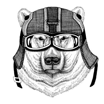 Polar bear wearing motorcycle helmet, aviator helmet Illustration for t-shirt, patch, logo, badge, emblem, logotype Biker t-shirt with wild animal