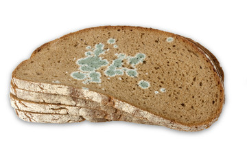 Verschimmeltes Brot