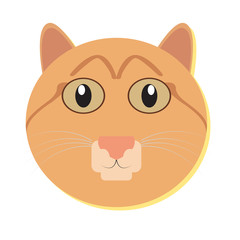 Isolated cute cat face on a white background, Vector illustration