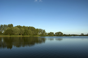 Blue lake and trees on the shore