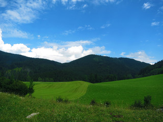 Naklejka premium ヨーロッパの山あいの風景