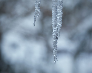 Obraz premium An Icicle