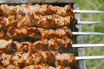 Shish kebab with  mix of spices on bbq