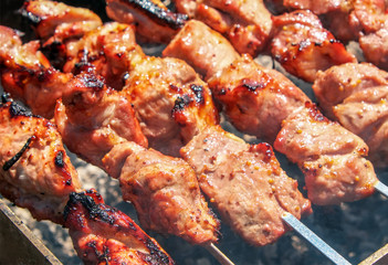 Shish kebab is baked over a fire with smoke. Camping and delicious food