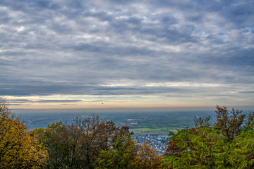 Wandern, Entdecken, Orchideen, Pflanzen, Natur, Sonnenuntergang