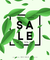 Summer sale banner. Poster tropical leaves vector design