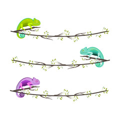 Set of garlands with colorful chameleons sitting on the branch on white background, vector illustration.