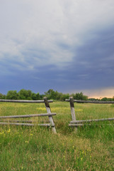 Open Fence in Field