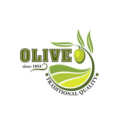 Olives branch vector icon for olive oil product