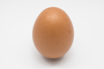egg on white background.