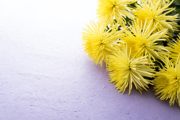 菊