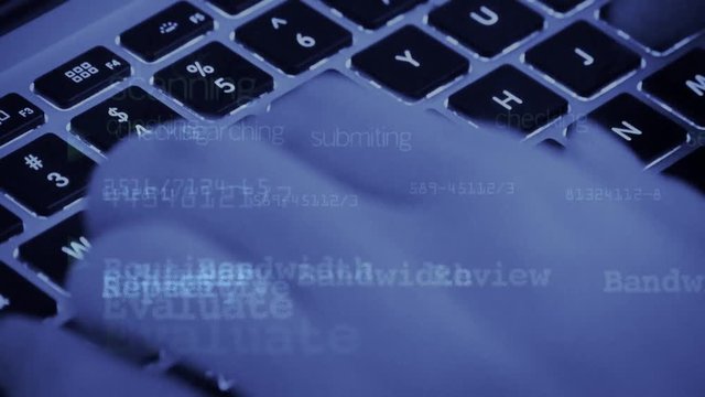 Writing computer code,Typing laptop Keyboard,computer Literate Operator.
