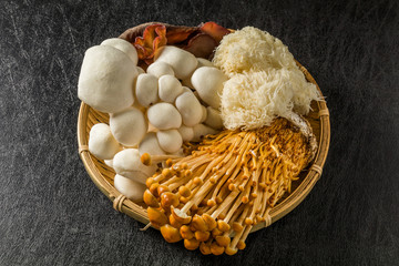 きのこの集合　mushroom