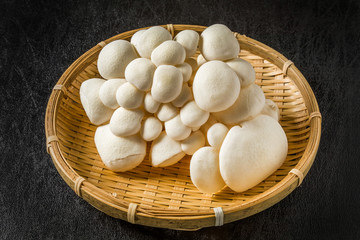 マッシュルーム　White mushroom