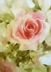 pink roses oil color on canvas.valentine Greeting Card.  Festive love postcard.oil color painting,oil colour hand painted