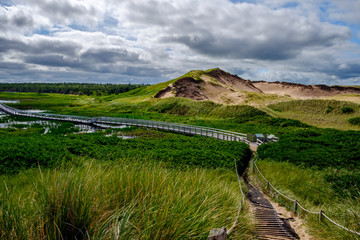 Greenwich Dunes with Angry Sky