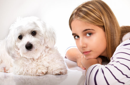 Portrait of beautiful girl and maltese dog.