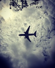 Airplane, Miami 