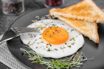 Homemade over easy fried egg with toasts on plate