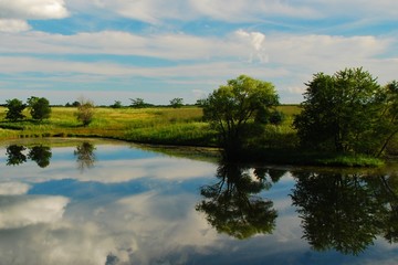Reflections on an Iowa Pond