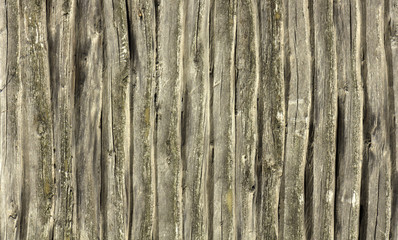 view texture wall with log houses background