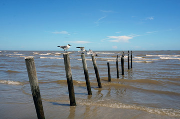 Galveston beach, Texas