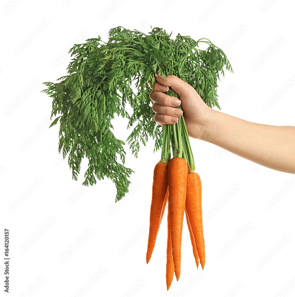 Poster female hand holding fresh carrots on white background