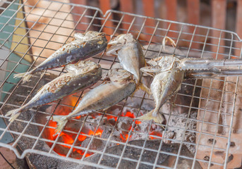 Grilled fish mackerel on the stove,Mackerel is found in the Gulf of Thailand.