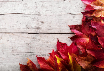 Naklejka na ściany i meble Dekoration aus Herbstblättern
