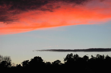 red cloud and dark tree silhouette