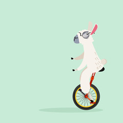circus alpaca illustration © focus_bell