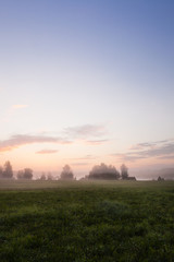 Misty meadow at dawn
