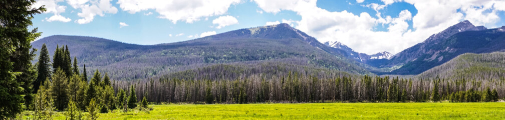 Fototapeta premium Cloudy landscape. Green blossoming summer valley in the Rocky Mountains