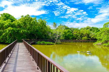 Fototapeta na wymiar Wooden bridge walkway in Sri Nakhon Khuean Khan Park and Botanical Garden