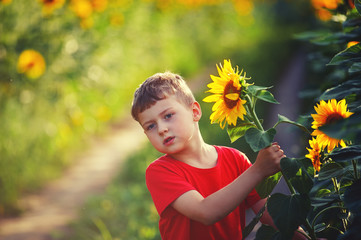 cheerful child playing in a field of sunflowers