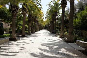 Obraz premium ragusa ibla garden