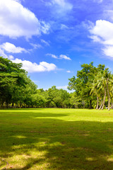 The abundance of trees, blue skies and lawn at Sri Nakhon Khuean Khan Park and Botanical Garden