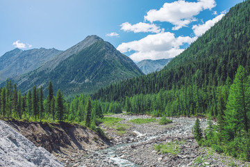 Fototapeta premium Beautiful view of mountain river among the forest and rocks on the background peaks